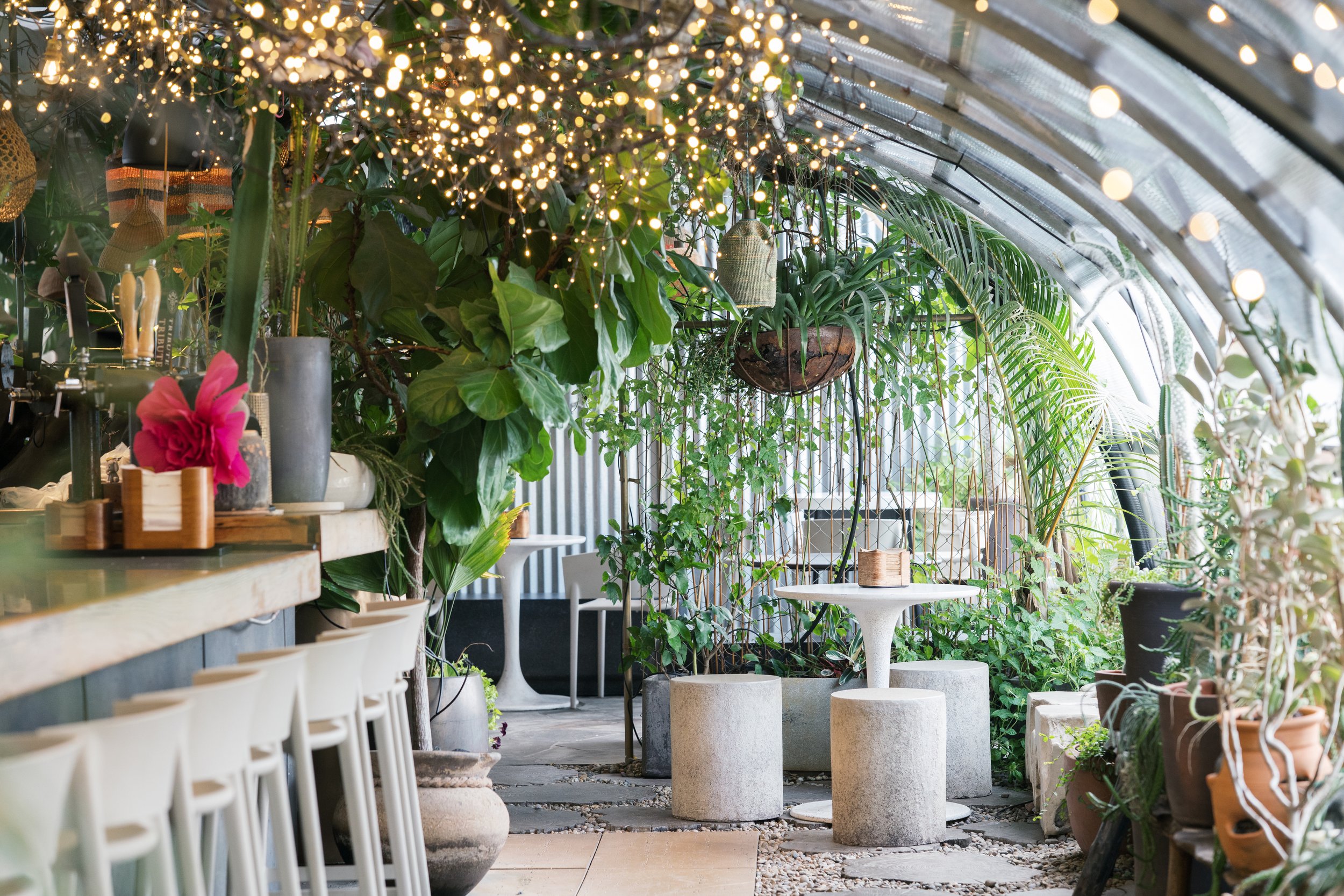The Greenhouse Bar