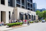 Biscuit Love in The Gulch