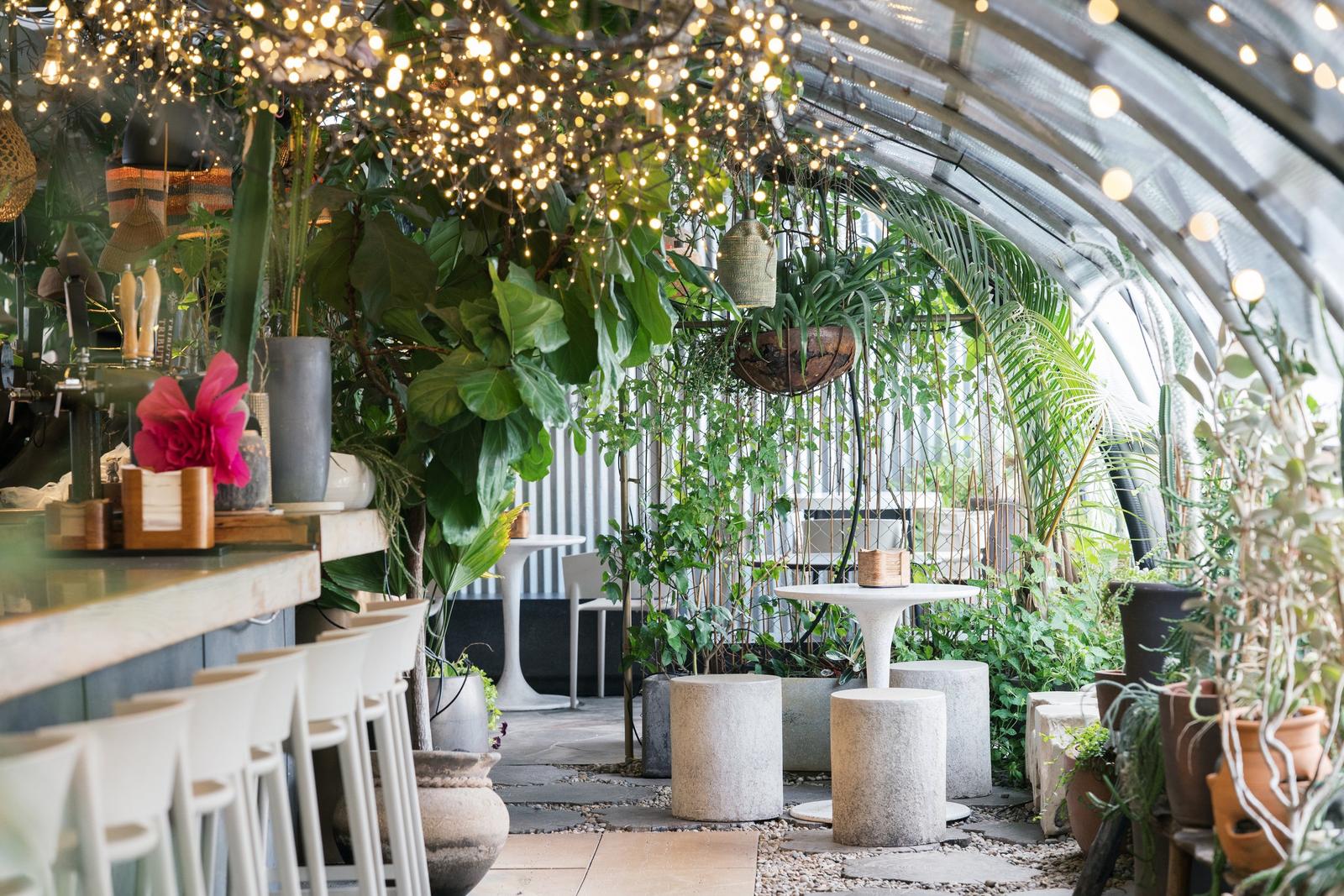 The Greenhouse Bar